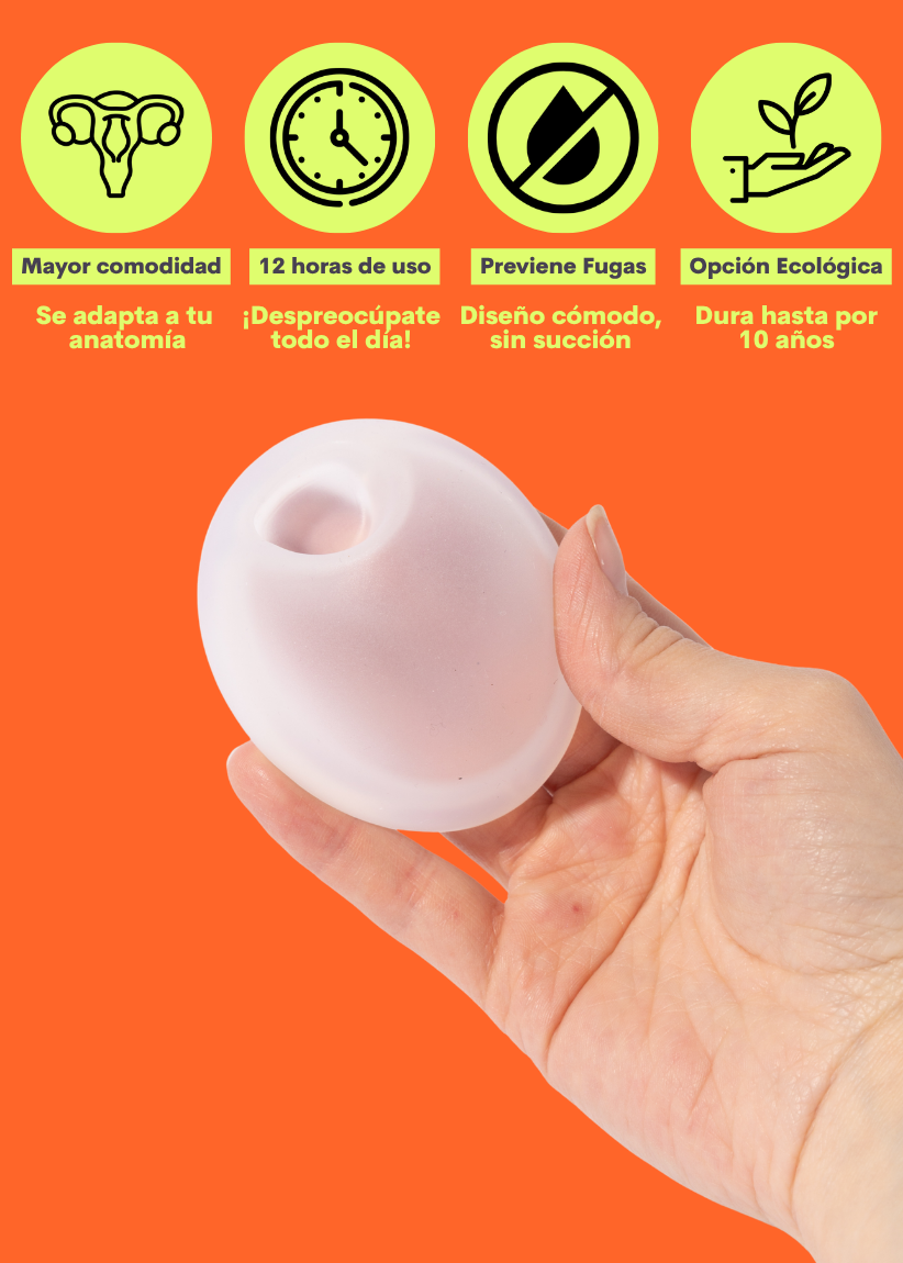 Disc Essentials Kit