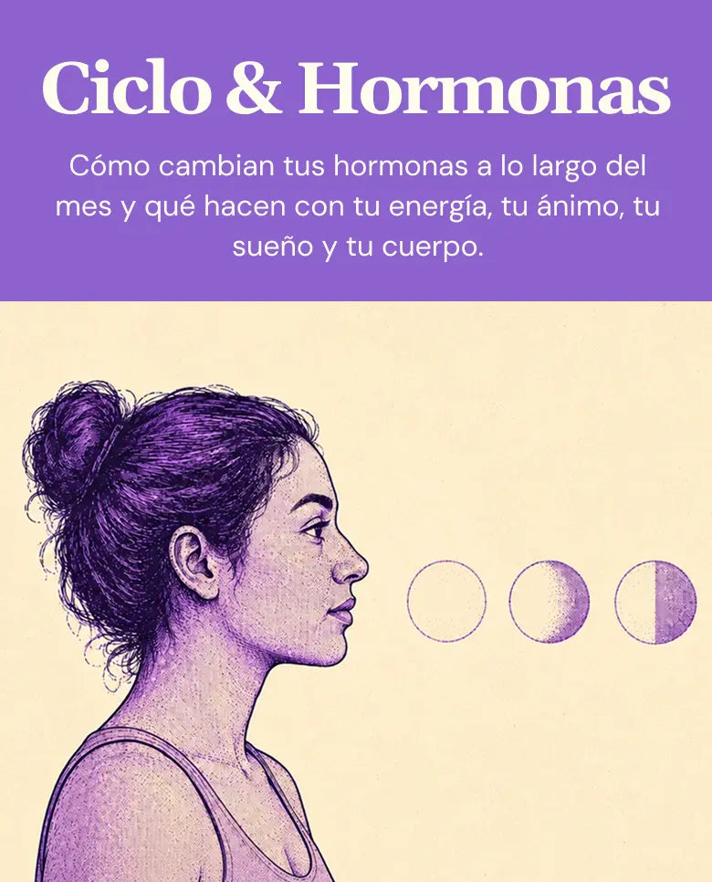 Ciclo & Hormonas